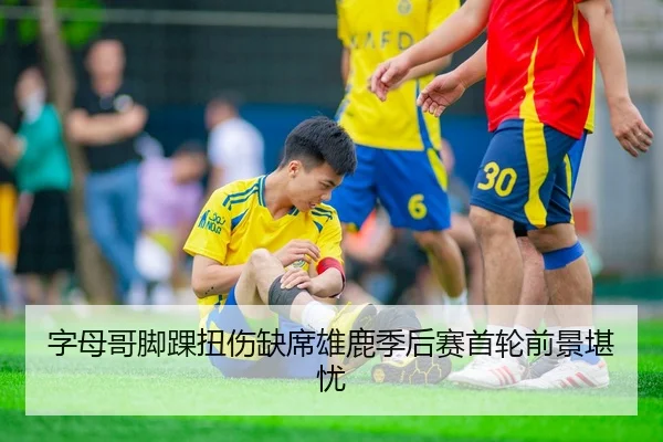 字母哥脚踝扭伤缺席雄鹿季后赛首轮前景堪忧