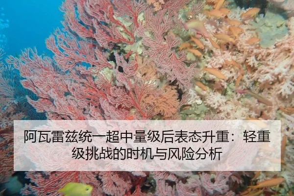 阿瓦雷兹统一超中量级后表态升重：轻重级挑战的时机与风险分析